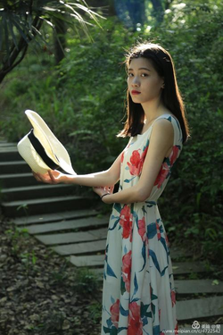 av网站导航功能演示